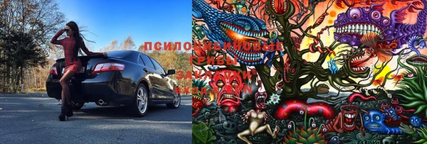 альфа пвп Гусь-Хрустальный
