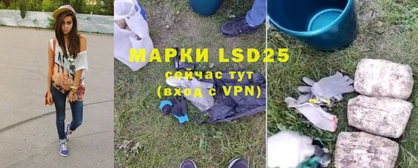 гидропоника Гусиноозёрск