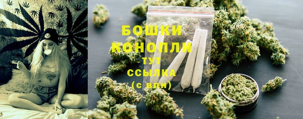 гидропоника Гусиноозёрск