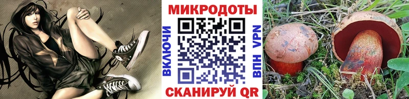 МЕГА ONION Мценск Галлюциногенные грибы Psilocybine cubensis
